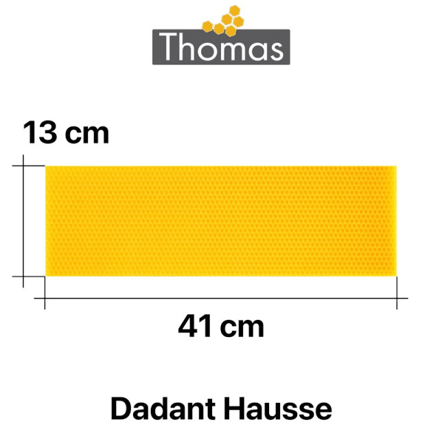 CIRE THOMAS GAUFREE ET CONDITIONNEE - 20 FEUILLES DDT HAUSSES