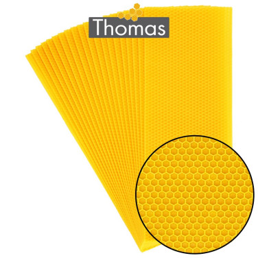CIRE THOMAS GAUFREE ET CONDITIONNEE - 20 FEUILLES DDT HAUSSES