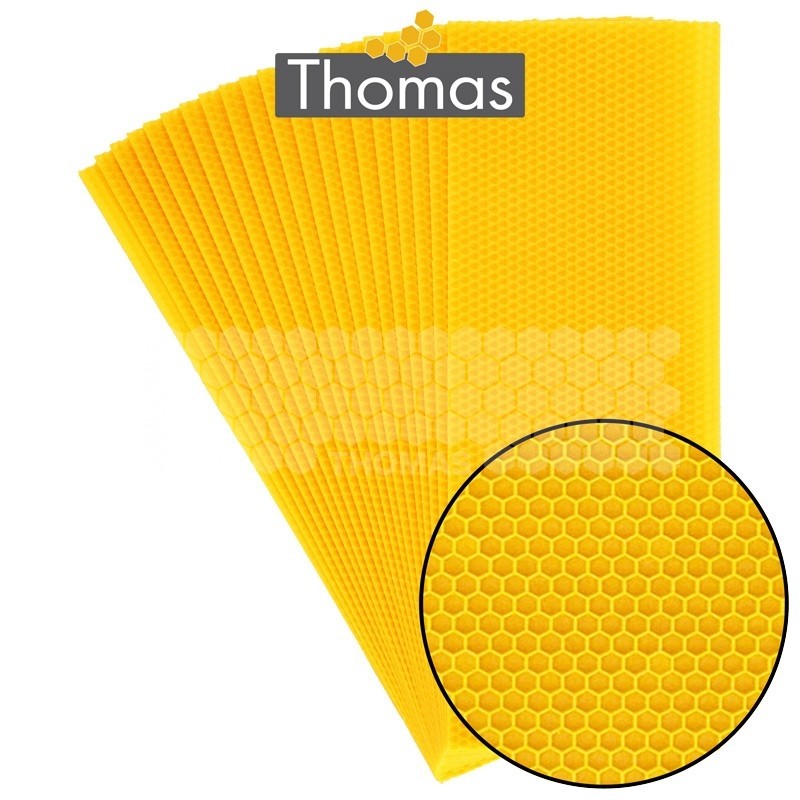 CIRE THOMAS GAUFREE ET CONDITIONNEE - 20 FEUILLES DDT HAUSSES