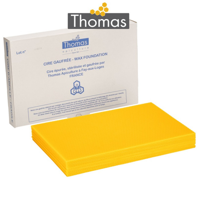 CIRE THOMAS GAUFREE ET CONDITIONNEE - 20 FEUILLES DDT CORPS
