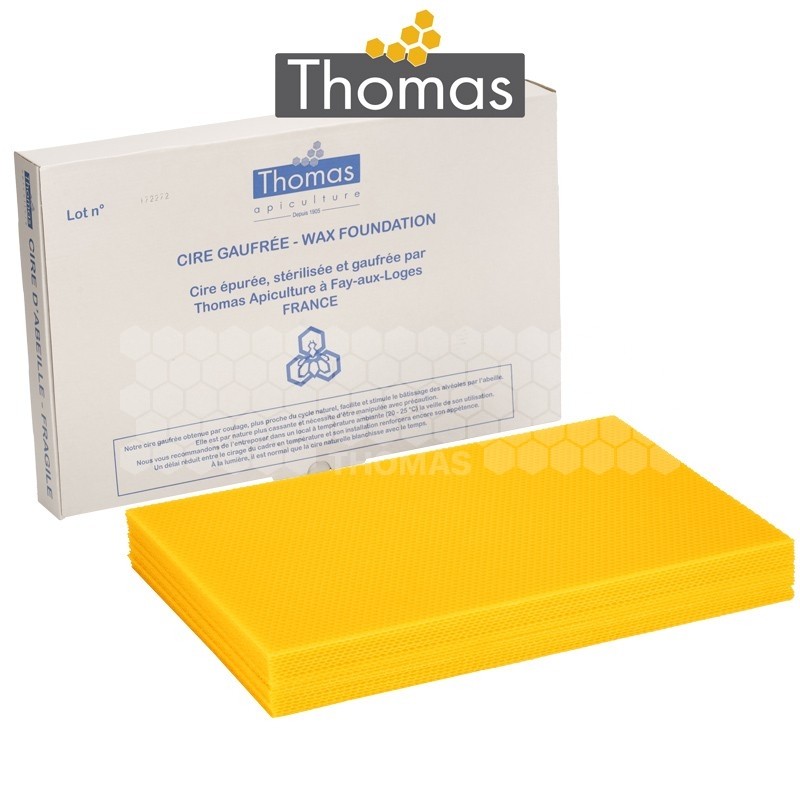 CIRE THOMAS GAUFREE ET CONDITIONNEE - 20 FEUILLES DDT CORPS