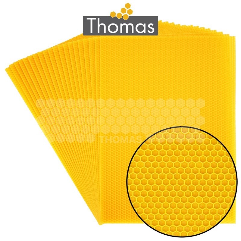 CIRE THOMAS GAUFREE ET CONDITIONNEE - 20 FEUILLES DDT CORPS