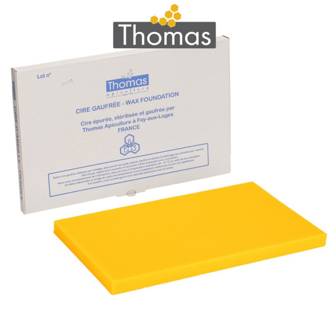 CIRE THOMAS GAUFREE ET CONDITIONNEE - 10 FEUILLES DDT CORPS