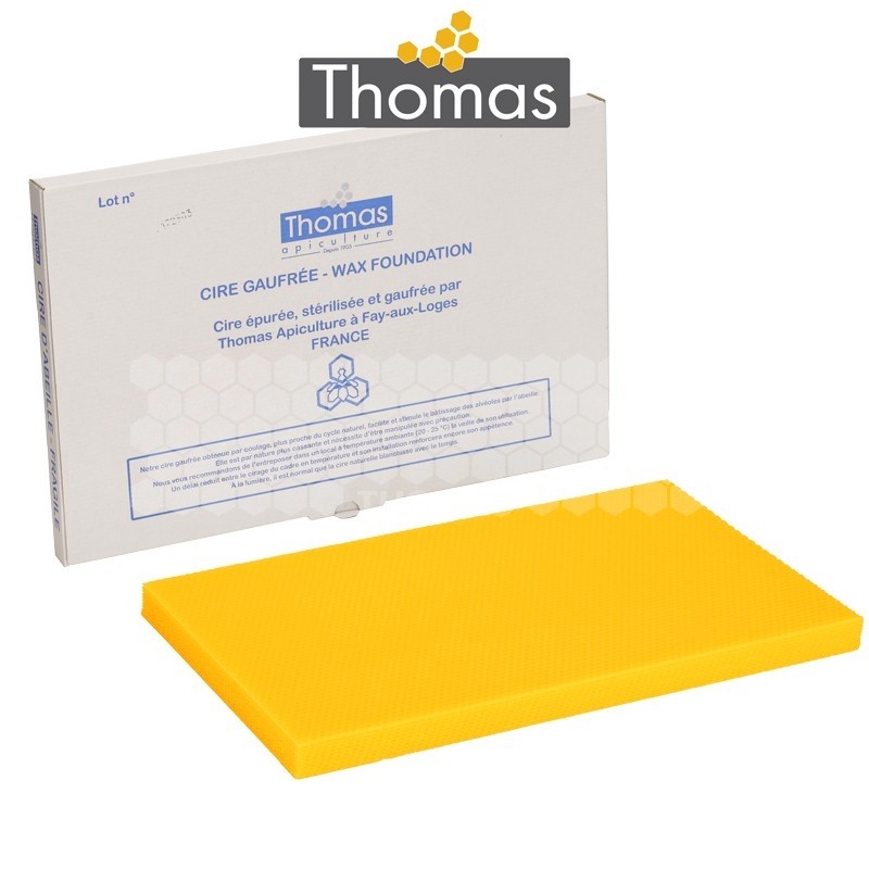CIRE THOMAS GAUFREE ET CONDITIONNEE - 10 FEUILLES DDT CORPS