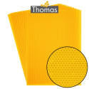 CIRE THOMAS GAUFREE ET CONDITIONNEE - 10 FEUILLES DDT CORPS