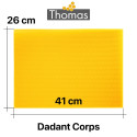 CIRE THOMAS GAUFREE ET CONDITIONNEE - 50 FEUILLES DDT CORPS