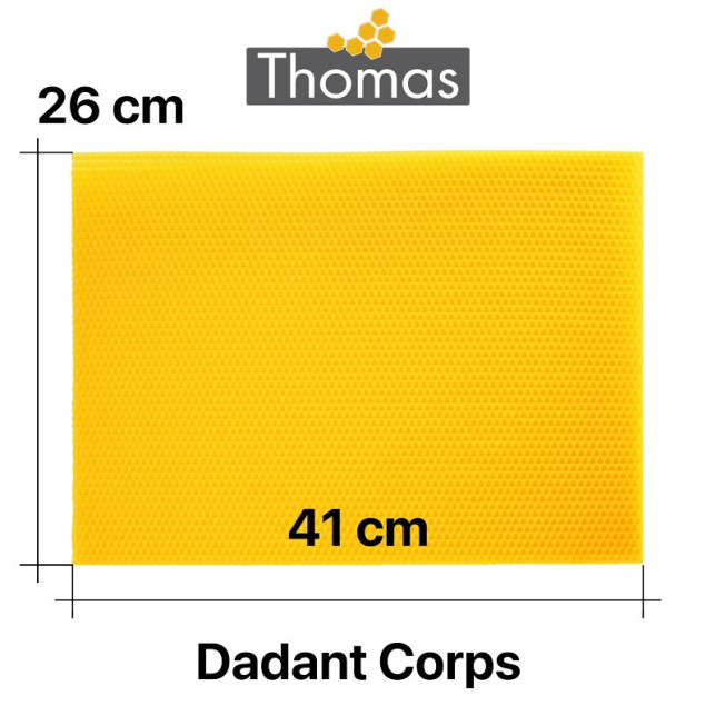 CIRE THOMAS GAUFREE ET CONDITIONNEE - 50 FEUILLES DDT CORPS