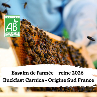 Essaim de l'année BIO + reine Buckfast Carnica Sud France Retrait 34
