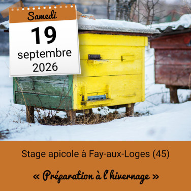 Stage apicole - Préparation à l'hivernage - Fay-aux-Loges (45)