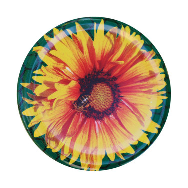 Capsules Twist-Off Tournesol TO 82 (sachet 48 pièces)