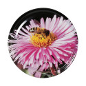 Capsules Twist-Off Fleur Abeille TO 82 (sachet de 48 pièces)