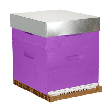 Ruche complète violette Dadant 10 cadres Pribois (avec cadres)
