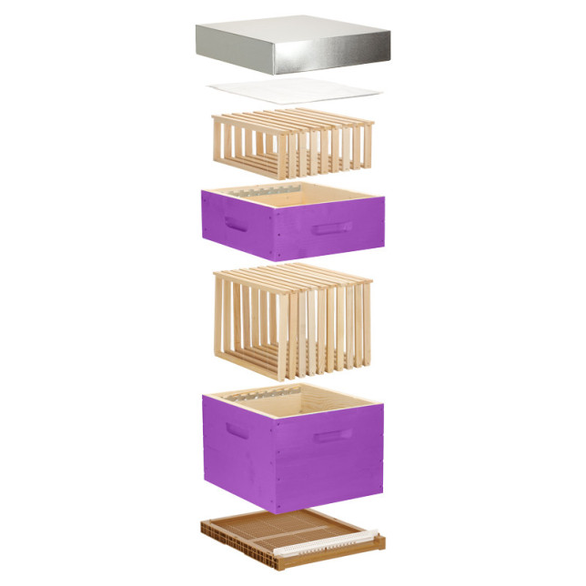 Ruche complète violette Dadant 10 cadres Pribois (avec cadres)