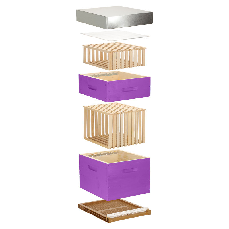 Ruche complète violette Dadant 10 cadres Pribois (avec cadres)