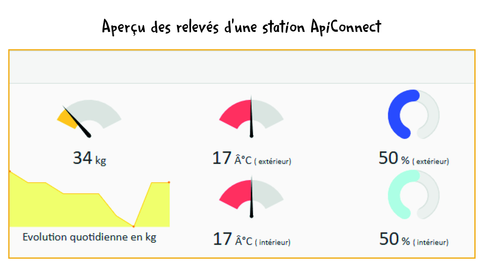 Aper&ccedil;u des relev&eacute;s dune ruche Apiconne