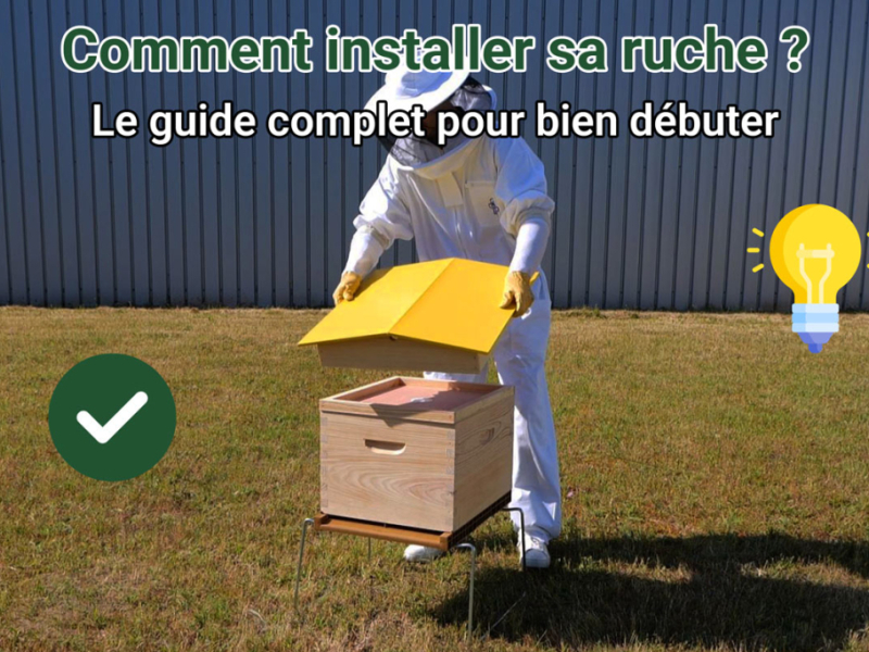 Comment installer sa ruche ? Le guide complet pour bien débuter